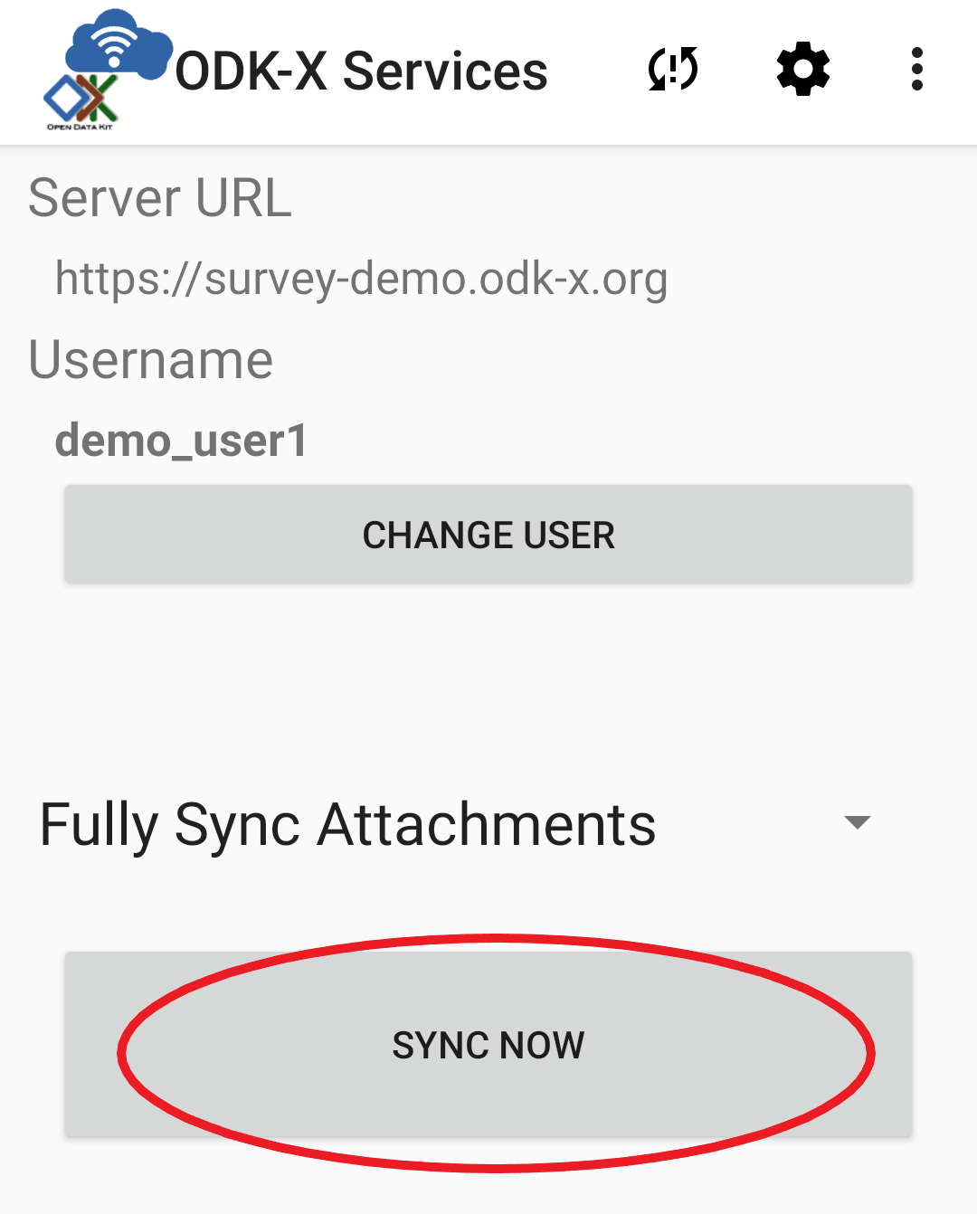 Syncing from the demo server